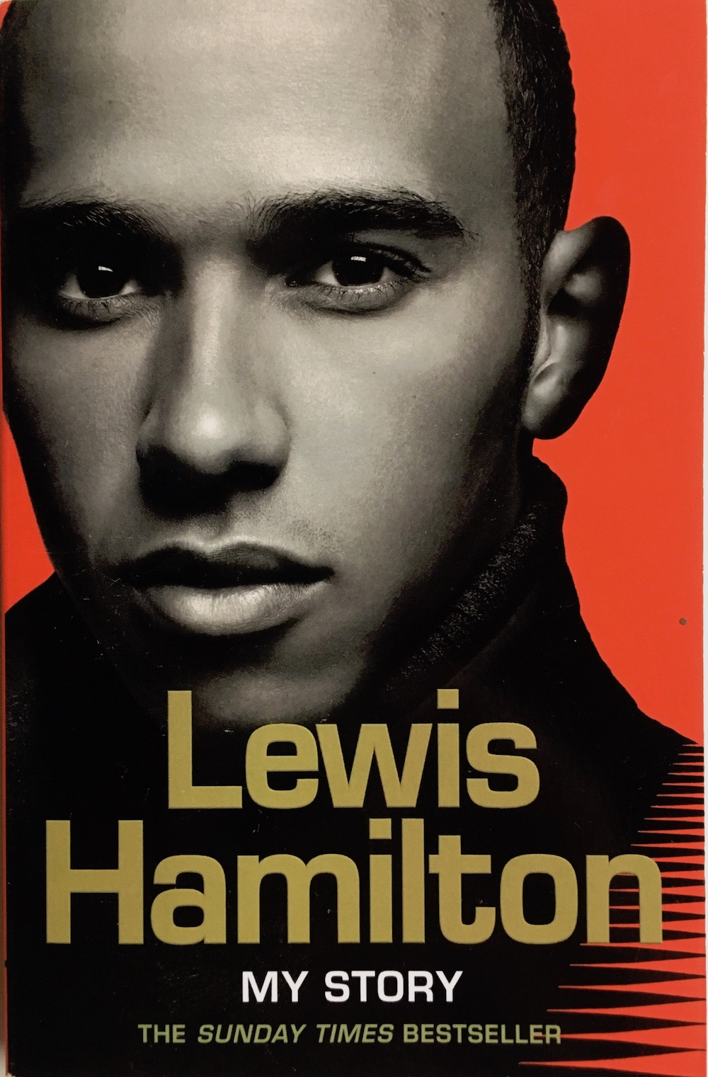 Lewis Hamilton, la mia storia